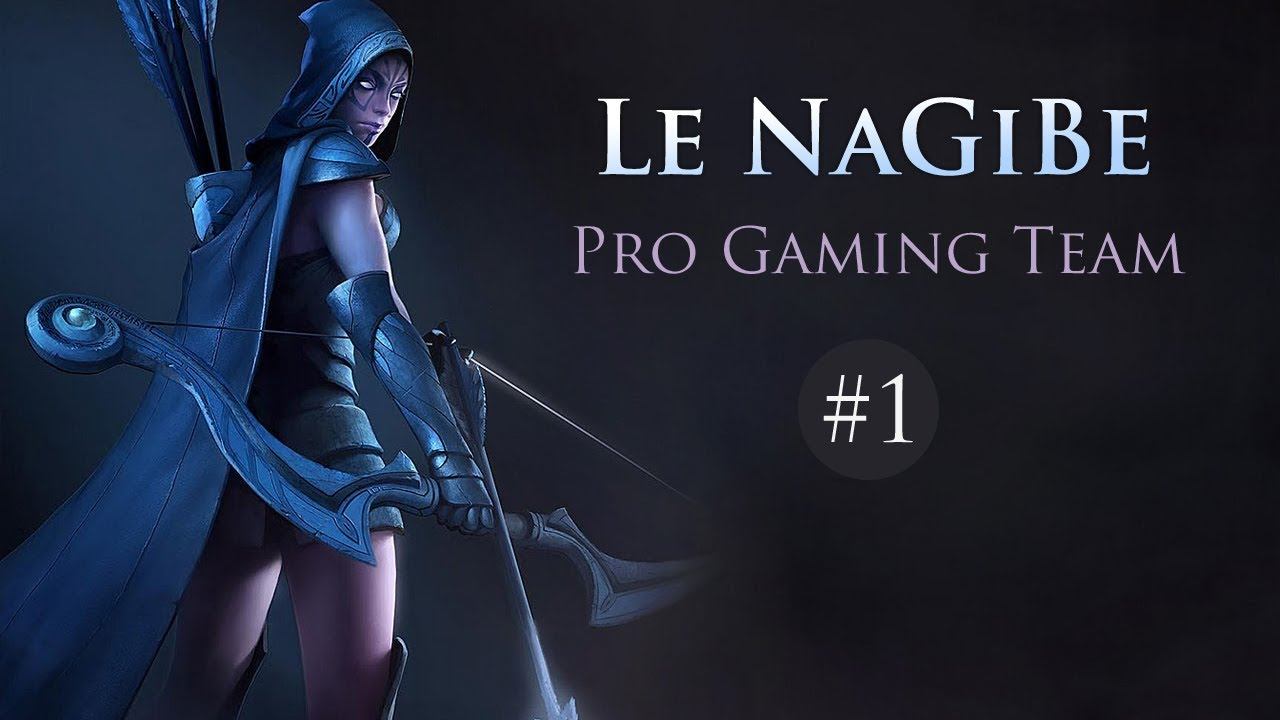 Le NaGiBe Pro Gaming Team