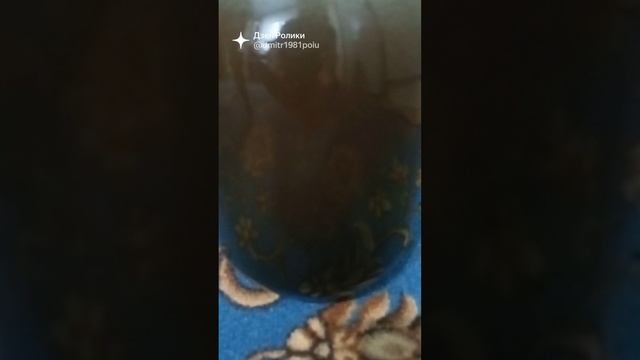 Гричешный мёд