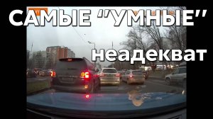 Подборка САМЫХ "УМНЫХ" водителей #1073