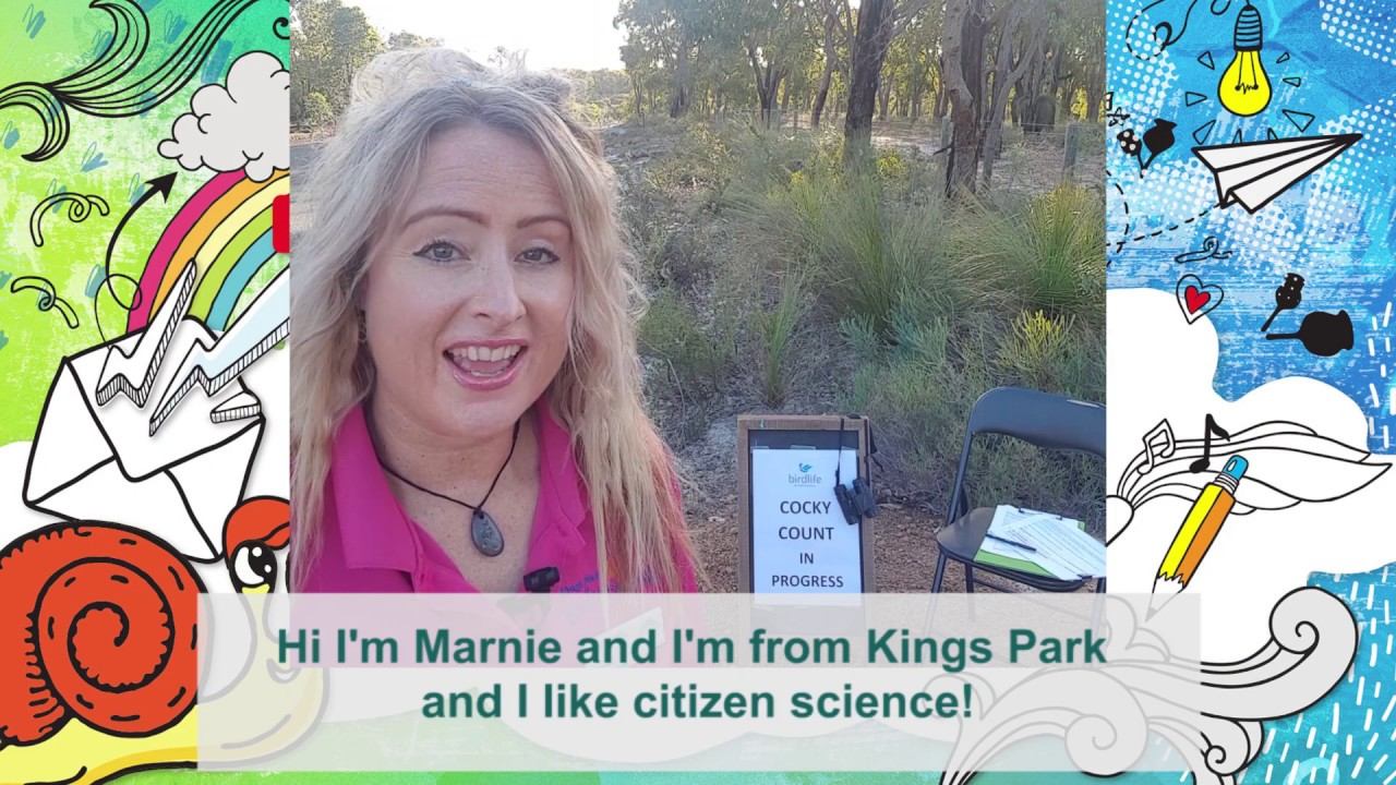 Kings Park Home Delivery: Activity 13 - I like citizen science