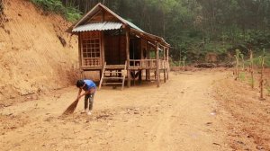 Green forest life - Harvest banana garden for sale, make duck cages - forest life Building wild lif
