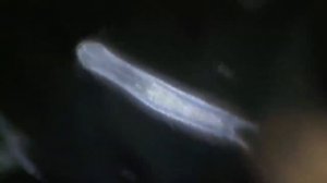 СБОРНИК   САМЫЕ НЕВЕРОЯТНЫЕ ЭКЗОПЛАНЕТЫ КОГДА ЛИБО ОБНАРУЖЕННЫЕ Объекты за пределами системы