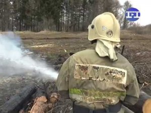 «Лесная охрана»