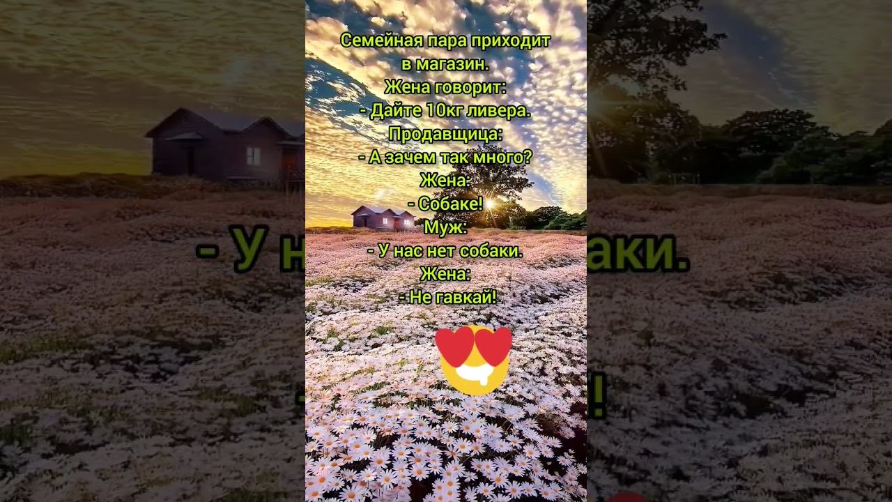 Жена мужа за собаку держит Анекдот от Василича #анекдот #анектоты #анекдотдня #анекдотизжизни