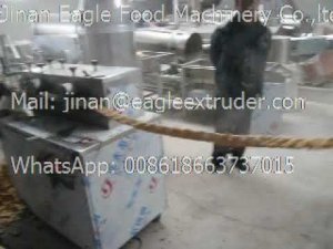 jinan eagle оборудование для соевого мяса