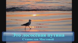 Это лососёвая путина