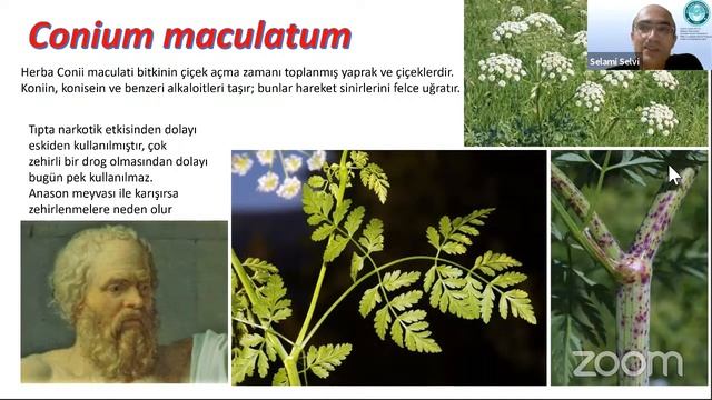 07.04.2021 PROF.DR. SELAMİ SELVİ TIBBİ ve AROMATİK BİTKİLER -TAB-6 смотреть онлайн