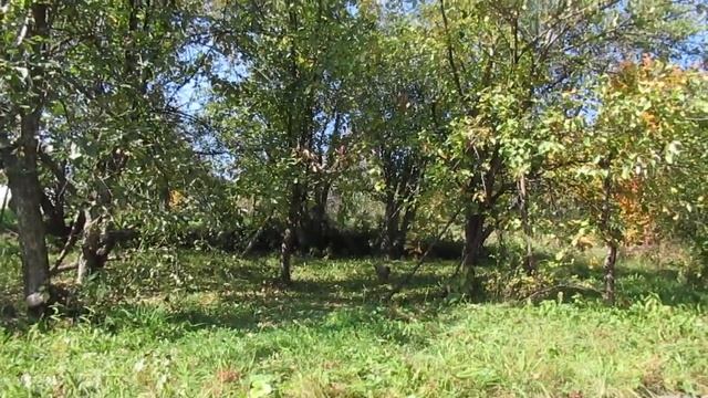 Седьмая жизнь... смотреть онлайн