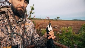 Охота на гуся закрытие сезона Карелия