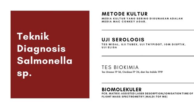 Mega Nugroho 1909010056 смотреть онлайн