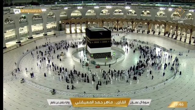  LIVE MAKKAH TV ONLINE بث مباشر  قناة القرآن الكريم Makkah Live  LIVE STREAM .سورة البقرة 