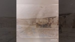 41 нахичеванский отряд