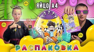 Влад Бумага А4| ЯЙЦО А4| РАСПАКОВКА