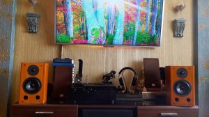 sony ss-al 3 yamaha A950 FiiO X5