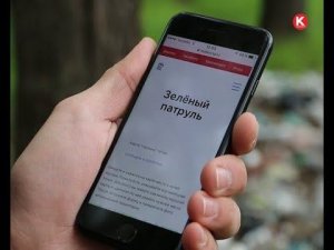 КРТВ. Итоги работы общественного движения «Зеленый патруль»