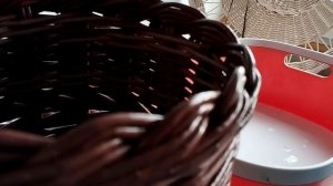 Грунтовка домика для увлажнения лозы