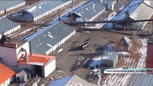 Завод по переработке подсолнечника в Благовещенском районе выпустит первую партию продукции в 2026