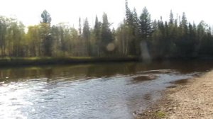 Река Кунгус.
