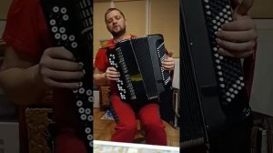 цельнопланочный баян Былина
