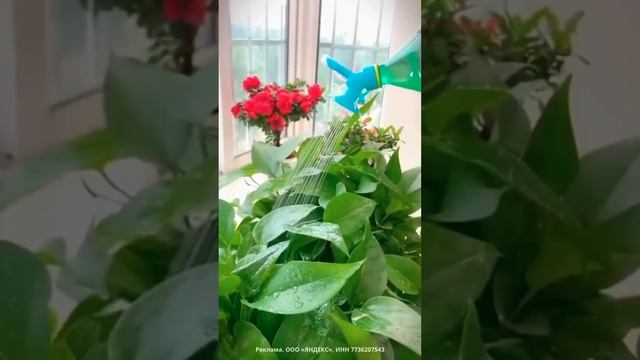 🌸Насадка для полива растений