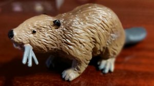 Курва мото Бобр🥳