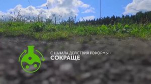 Область чистоты