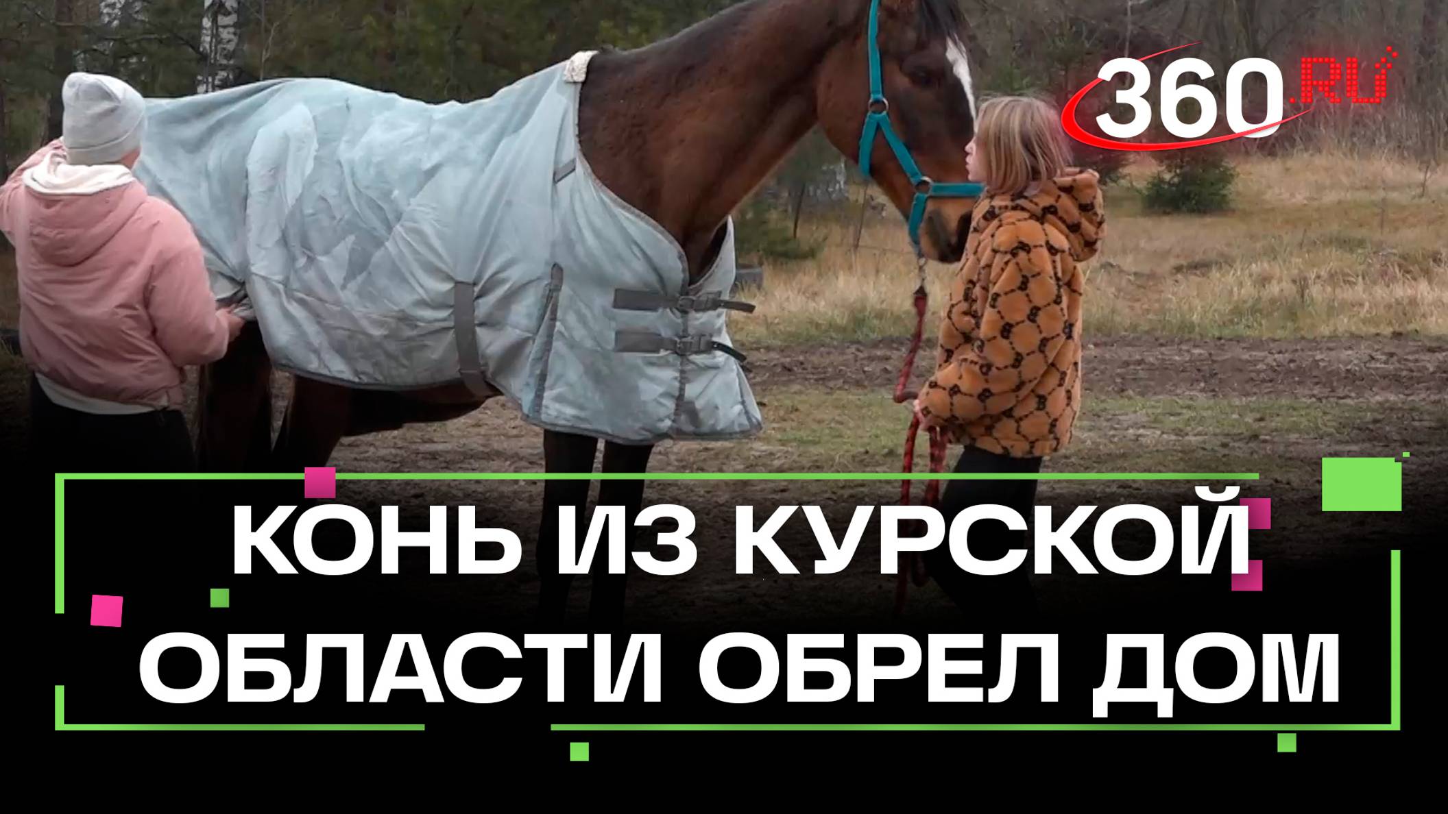 Новый дом обрел конь из Курской области
