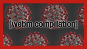 4chan webm compilation