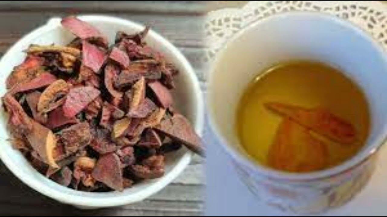 Qisqa yubkalarda jinsiy aloqa haqida onlayn videolar Ular mushukdan spermani sorishadi