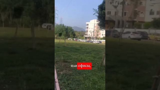 25 июля 2024 г. смотреть онлайн