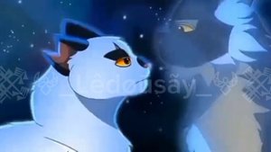 Коты Воители ♥️