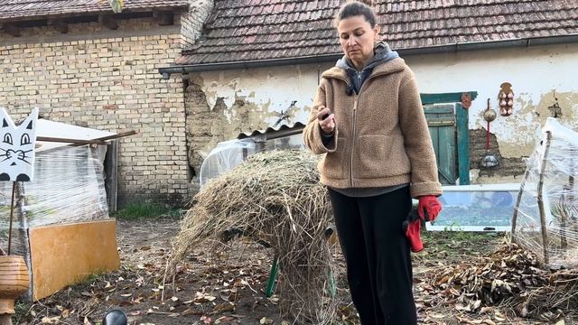 Рынок Бачка Топола. Продается дом #синдикилайф #ремонтдома
