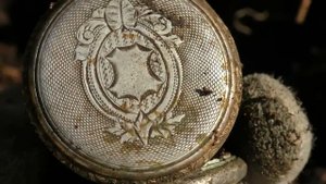 Лесные зарисовки от Штальхельма.16