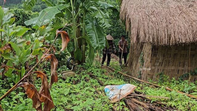 Single mother life when mom is by your side. Ly Vy Ca смотреть онлайн