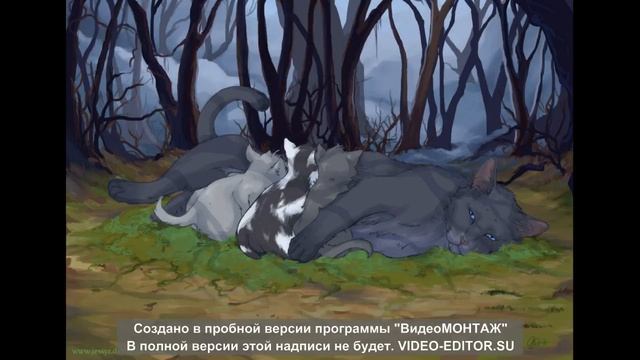 История Синей Звезды