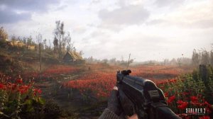 S.T.A.L.K.E.R. 2 Как найти на Залесье уникальные артефакты Странный мячик и Странный цветок
