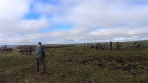 Земля поморов северный поход . Беломорская авантюра на катамаране Необузданный к мысу Канин Нос