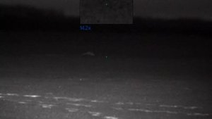 "приходите завтра"- продолжение