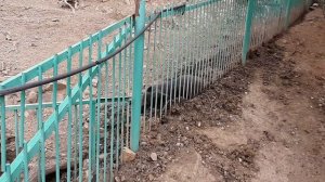 Дендрозоопарк в г. Алушта