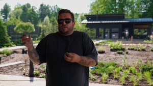 Как нужно сажать цветники? Геотекстиль от сорняков!? Как сделать пошаговые дорожки без спотыкания?