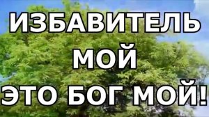 вся хвала Тебе Господь