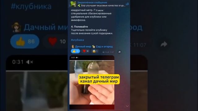 Лучшая подкopмкa клубники 