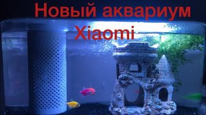 Новый аквариум Xiaomi