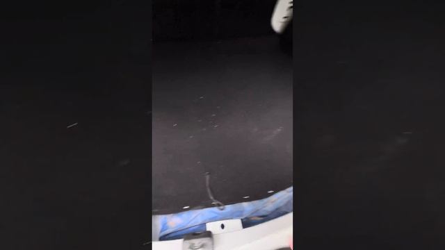 Логан 20г +79660480077 смотреть онлайн