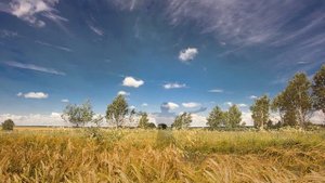 Песня « Горбушка хлеба» на стихи о.Владимира Гофмана в исполнении автора музыки Юрия Пронина