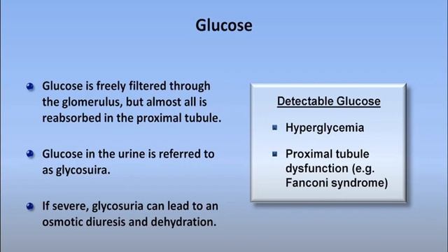 urinalysis Pathology Lab Part 2