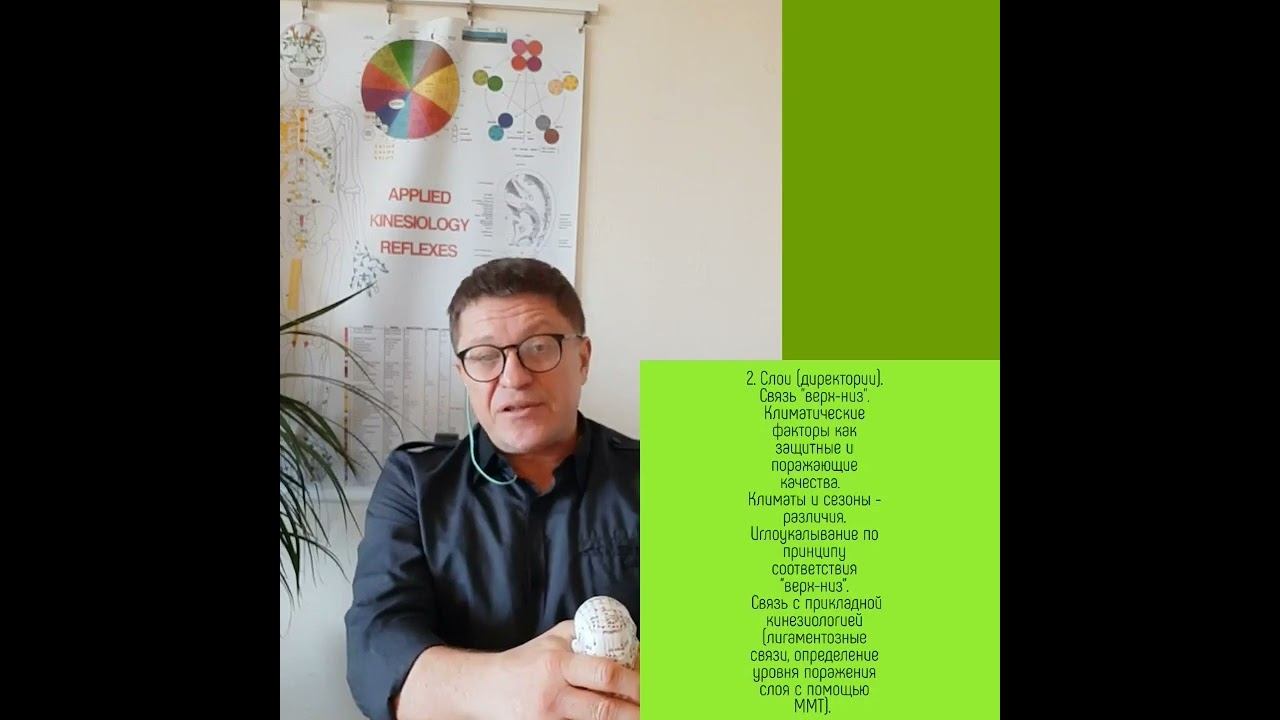 Семинар прикладная кинезиология. китайская медицина смотреть онлайн