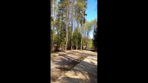 Удаление деревьев