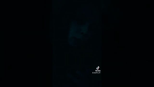 божественный пенофол:) смотреть онлайн