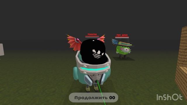 Чиккнган